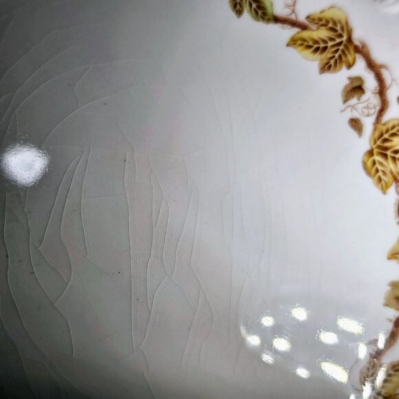 2 Wedgwood Golden Ivy Dinner Plates 10.5" Laurel Rim raised relief England - Picture 12 of 14